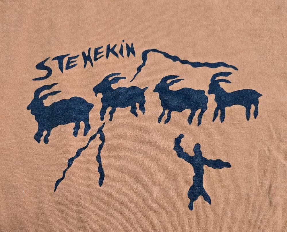 Vintage Stehekin PNW PCT Hiker Mountain Goat XL T-Shirt Gorpcore 90s Y2K